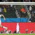 germany_wins_over_algeria
