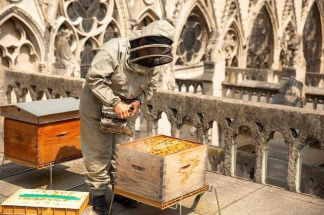 News Photo 1 - Europe - Otta Nottathil - 21420191bee