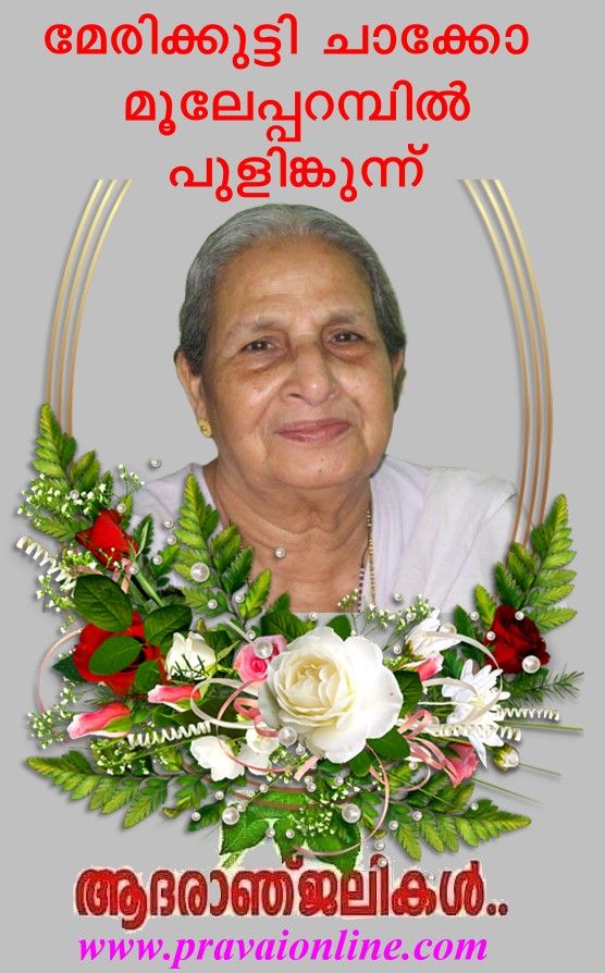 News Photo 1 - Germany - Otta Nottathil - marykutty_chacko_funeral