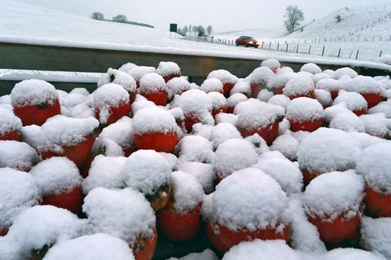 News Photo 1 - Germany - Otta Nottathil - 151120193cold
