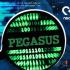 31120223pegasus