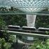 airport_without_passport_changi