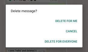 News Photo 1 - Europe - Otta Nottathil - whatsapp_undo_delete