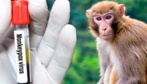 News Photo 1 - Europe - Otta Nottathil - monkeypox_who_emergency