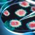china_new_bat_virus