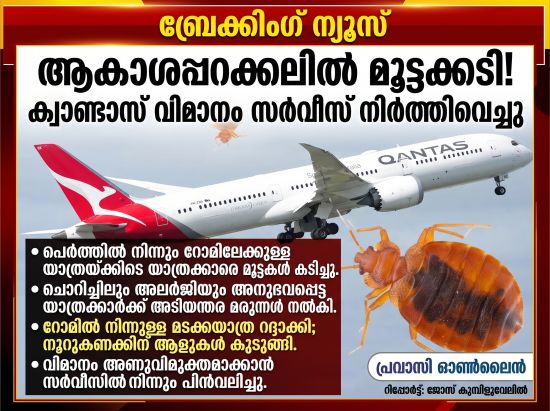 parasites_bite_passengers_quantas_flight_halts_due_to_bedbugs_oct_13_2026