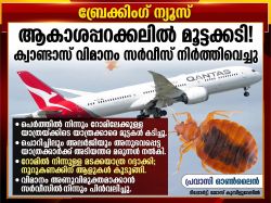 parasites_bite_passengers_quantas_flight_halts_due_to_bedbugs_oct_13_2026