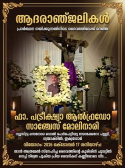 Priest_killed_by_falling_crucifix_during_live_straming_mass_oct_18_2026